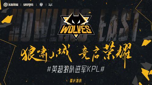 重庆狼队爆料最新消息,独家爆料揭示球队最新动向