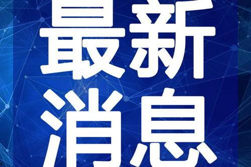 苏州小李子爆料视频最新,事件背后惊人真相